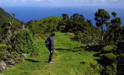 Turismo – Nos Açores convidam-se turistas a plantarem árvores