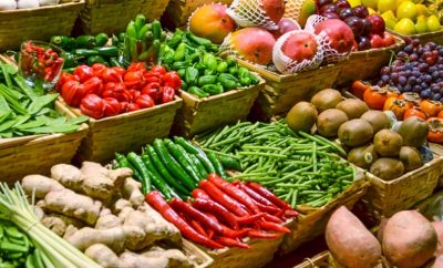 Açores querem duplicar produção em modo biológico em 10 anos